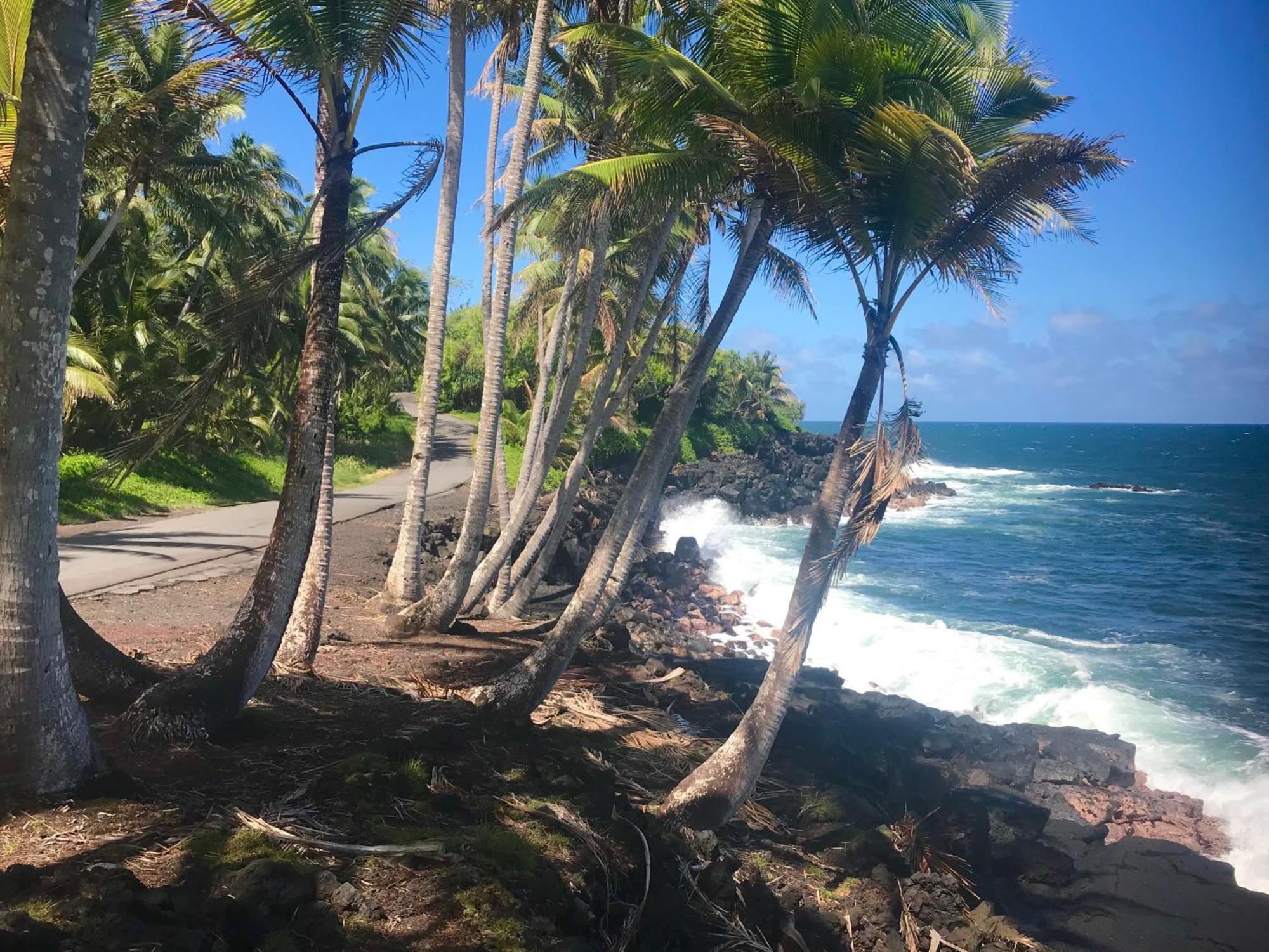 Tropical Zen Bungalow Pahoa Экстерьер фото