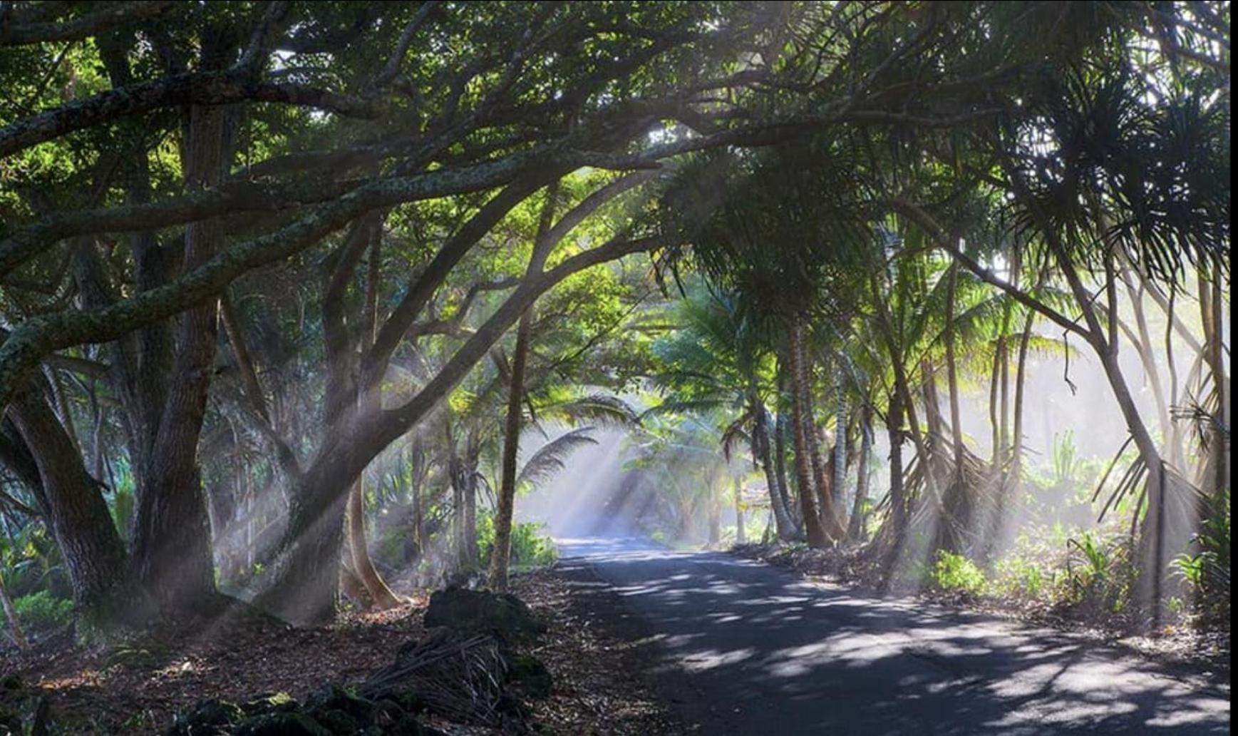 Tropical Zen Bungalow Pahoa Экстерьер фото