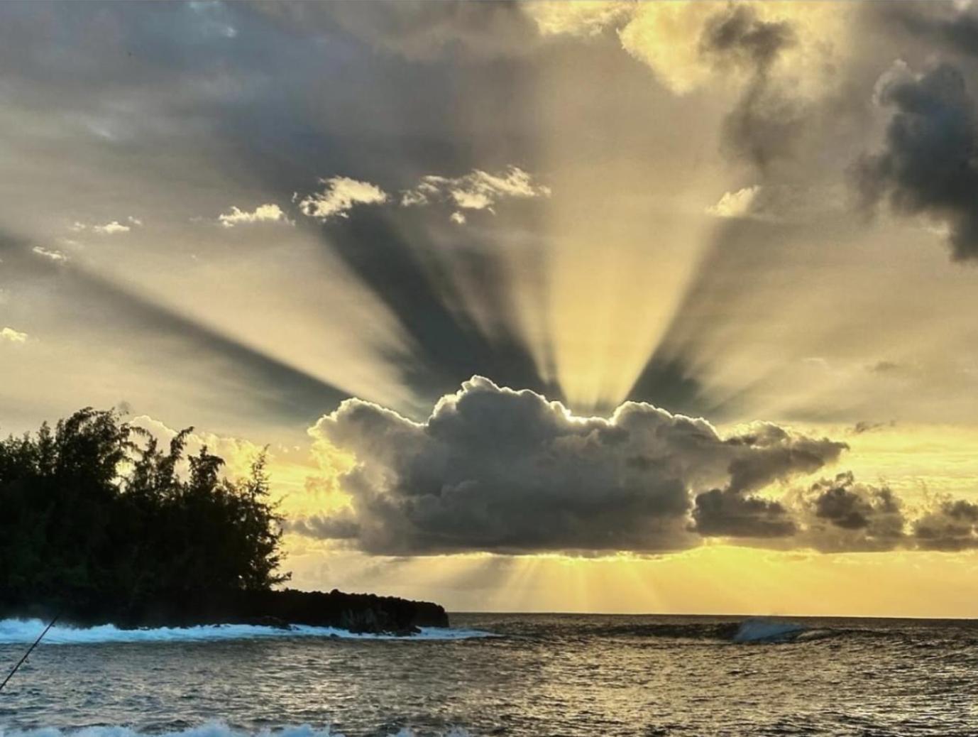 Tropical Zen Bungalow Pahoa Экстерьер фото